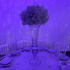 Location Centre de Table : Vase Transparent + Gypsophile 60cm