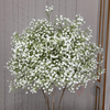 Location Boule de Fleurs Gypsophile 60cm
