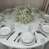 Location Boule de Fleurs Gypsophile 60cm